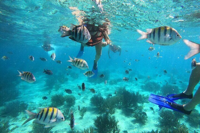 4 Hours VIP Group Tour Isla Mujeres Full Snorkeling Experience