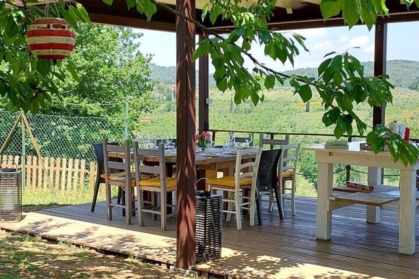 Private Aperi-Dinner on the Terrace in San Casciano