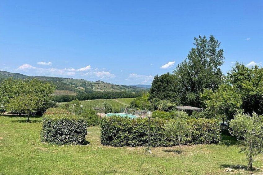 Private Aperi-Dinner on the Terrace in San Casciano