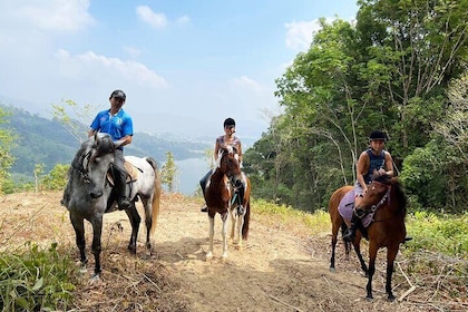 Phuket Horse Riding Experience