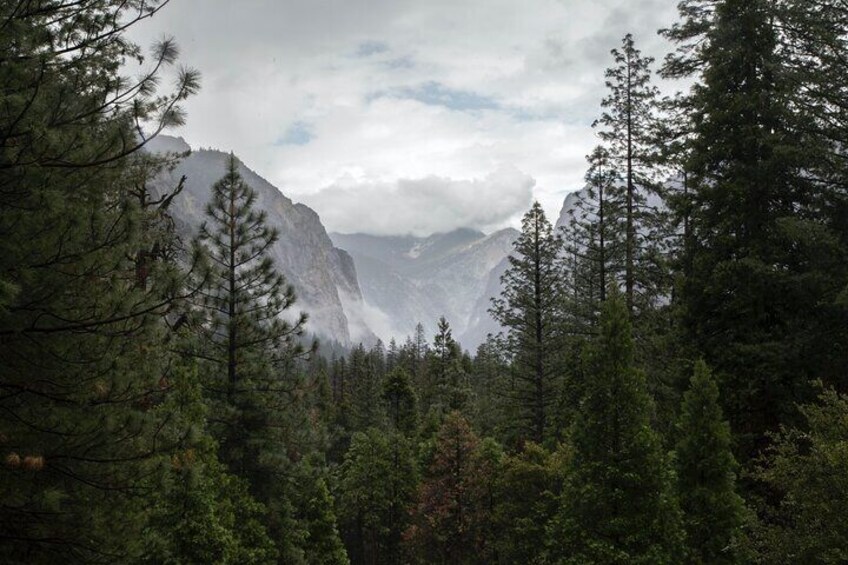 Full-Day Private Tour and Hike in Sequoia and Kings Canyon National Parks
