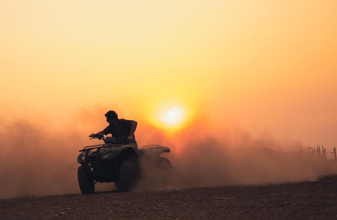 Djerba: Desert sunset, Bedouin evening, and aperitif included