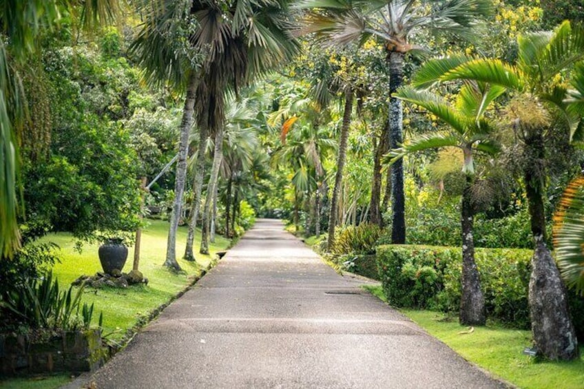 Seychelles Botanical Garden