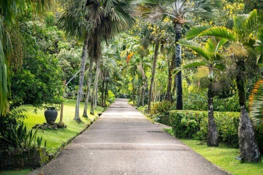 Seychelles Botanical Garden