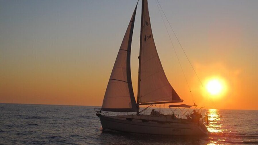 Sailboat Excursion with Snack in Search of Dolphins