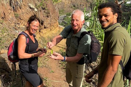 Full-Day Island Tour in Santo Antão with Lunch Included