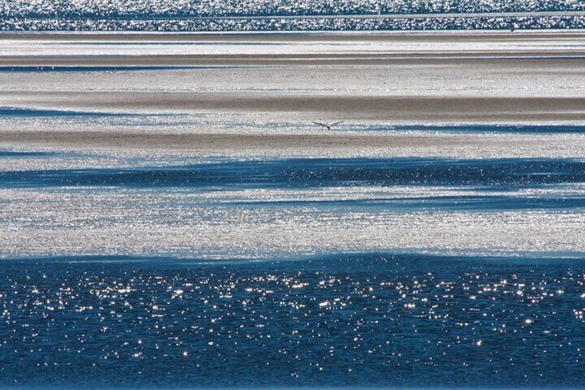 The ocean
