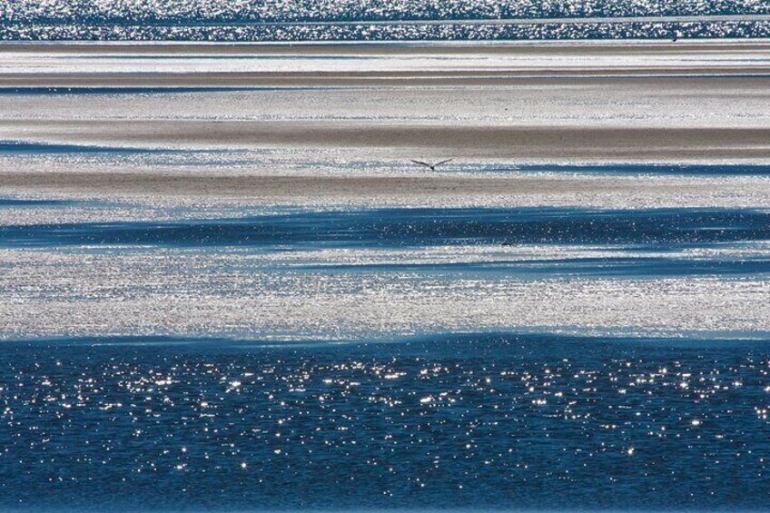 The ocean