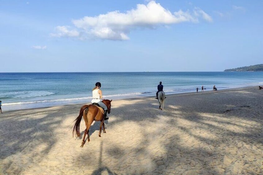 Beach Horse Riding At Sunset In Phuket