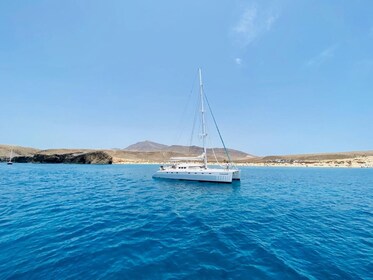 Adults only: Catamaran Platinum from Fuerteventura