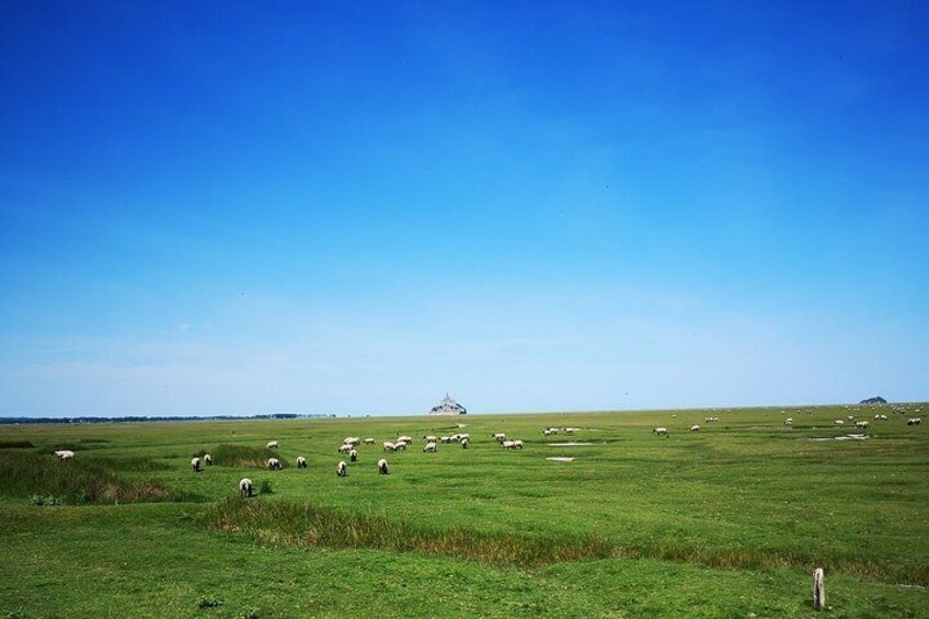 Private Day Tour of Mont Saint-Michel from Caen