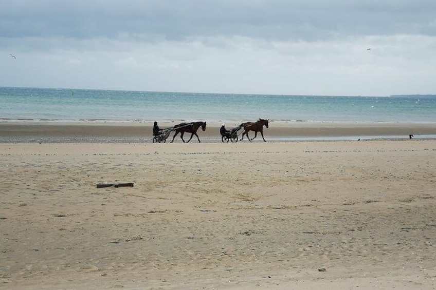 Private Day Tour including Normandy Landing Beaches & Battlefields from Caen