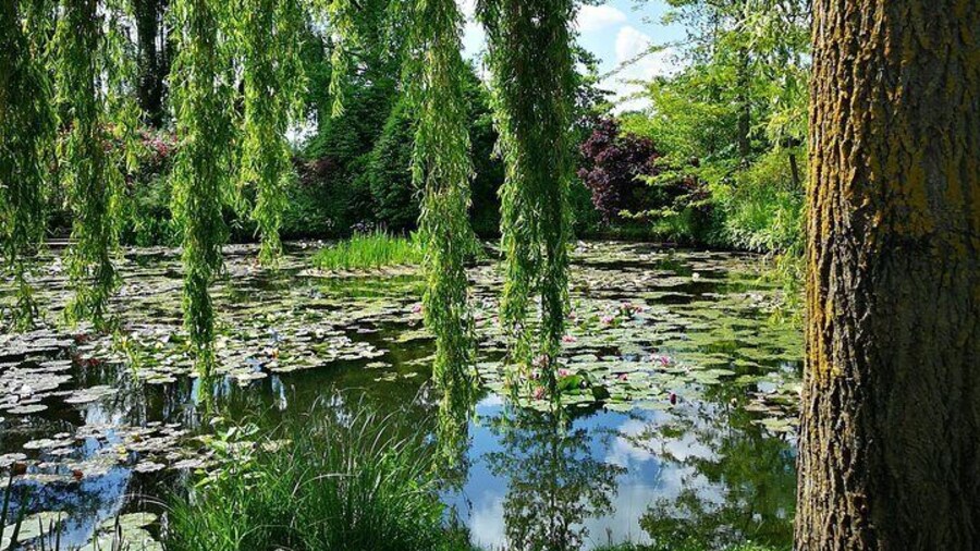 Private Tour: Rouen and Giverny Day Trip from Bayeux
