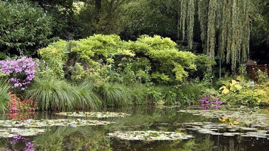 Le Havre Shore Excursion: Private Tour of Giverny, Rouen and Honfleur