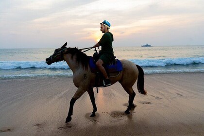 Plage de Phuket et promenades à cheval 1 heure d'expérience