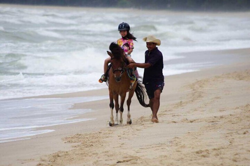 Phuket Beach and Horse Rides 1 Hour Experience