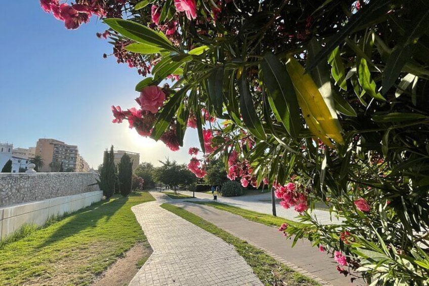 City of Arts and Sciences Private Bike Tour