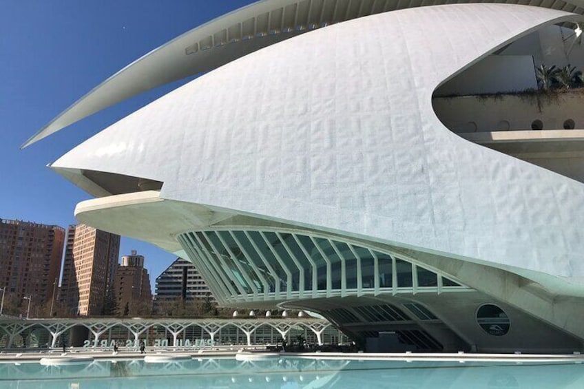 City of Arts and Sciences Private Bike Tour