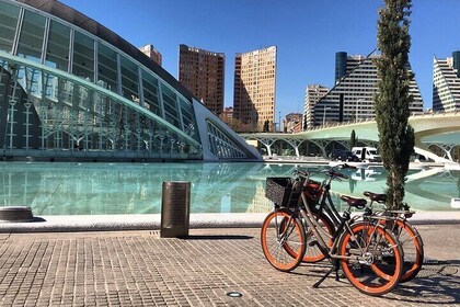 CITY OF ARTS & SCIENCES | Private Guided Tour on Bike or E-Step