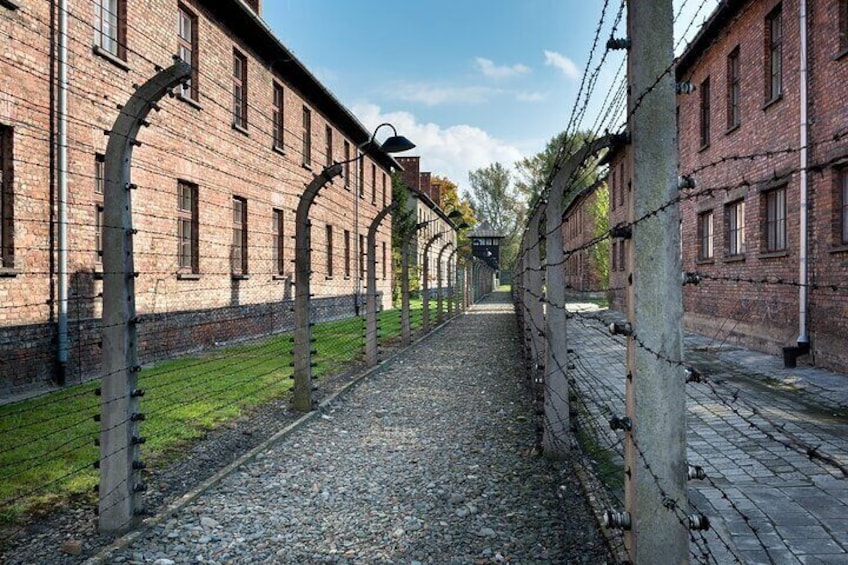 Auschwitz-Birkenau Memorial and Museum Guided Tour from Krakow