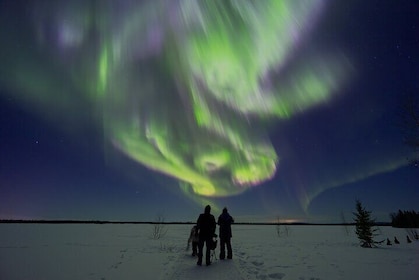 Private Group Aurora Viewing Experience
