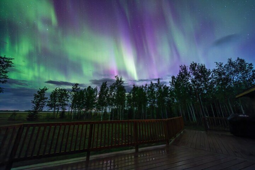 Private Group Aurora Viewing Experience