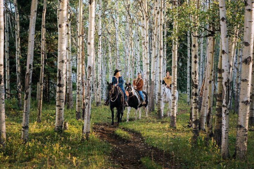 Valley Vista 1.5 Hour Trail Ride in Kananaskis - 11am