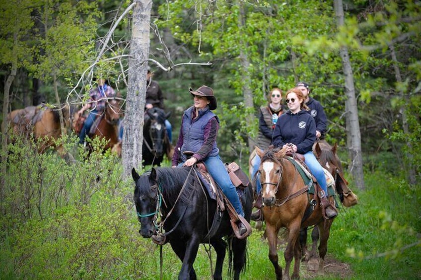 1.5-Hour Horseback Trail Ride in Kananaskis