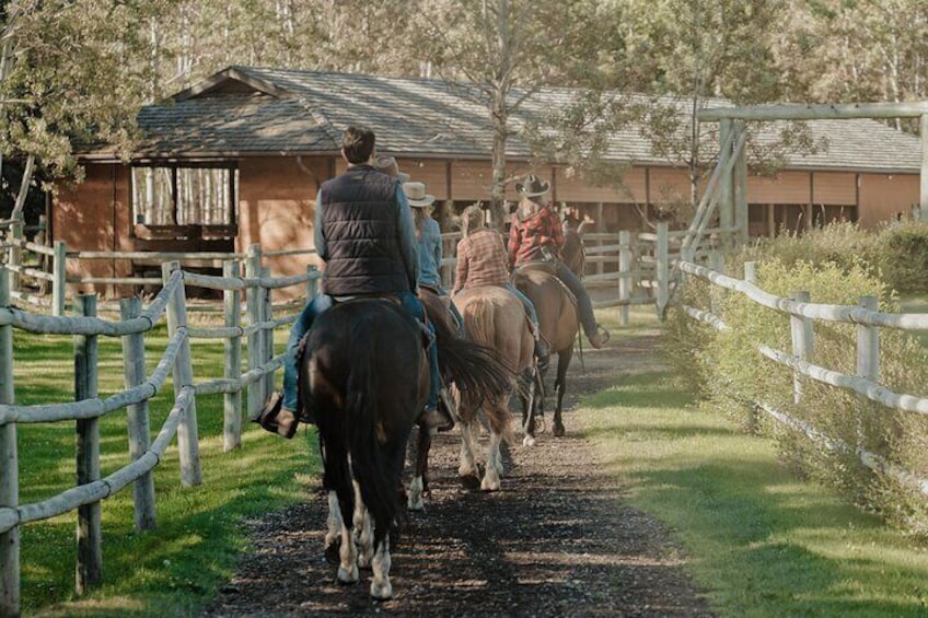 1.5-Hour Horseback Trail Ride in Kananaskis