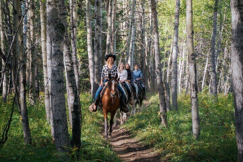 Valley Vista 1.5 Hour Trail Ride in Kananaskis - 11am 