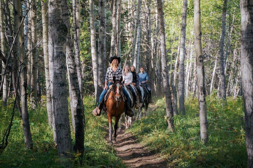 Valley Vista 1.5 Hour Trail Ride in Kananaskis - 11am