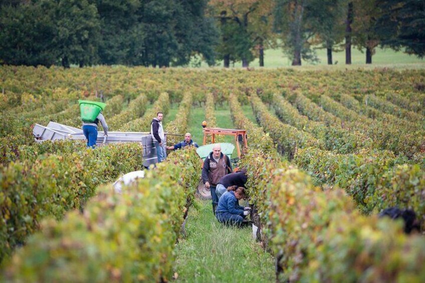 Private Guided Winery Tour with Wine Tasting in Lalande de Pomerol