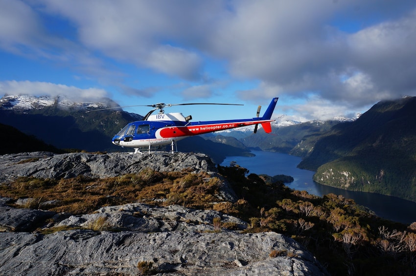 Milford Sound & Cruises