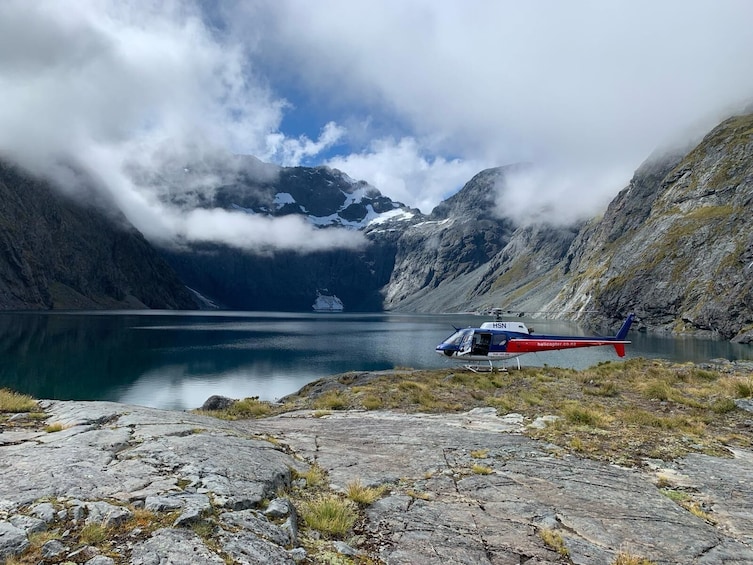 Milford Sound & Cruises