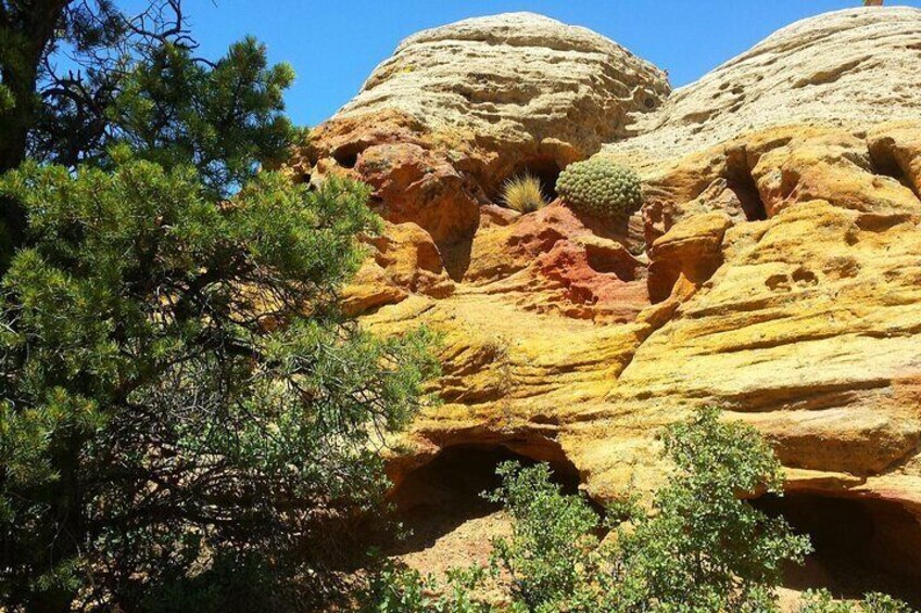 Zion UTV Morning Tour