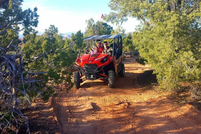 Zion UTV Morning Tour