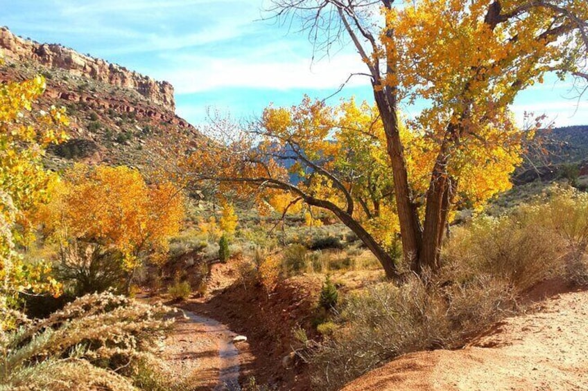 Zion UTV Morning Tour