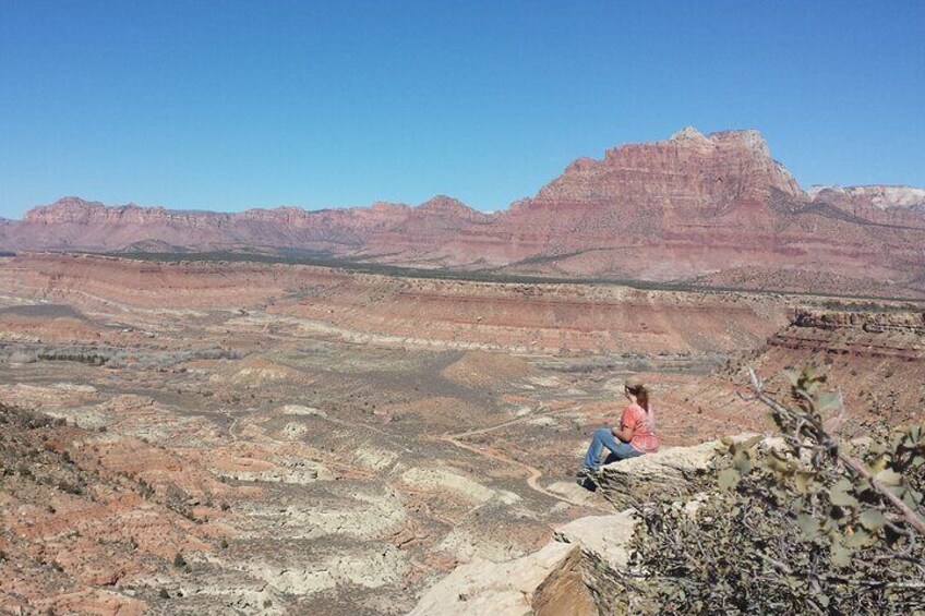 Zion UTV Morning Tour