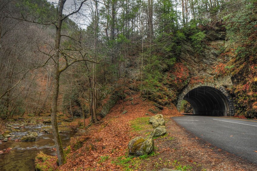 Cades Cove Driving Tour: Self-Guided