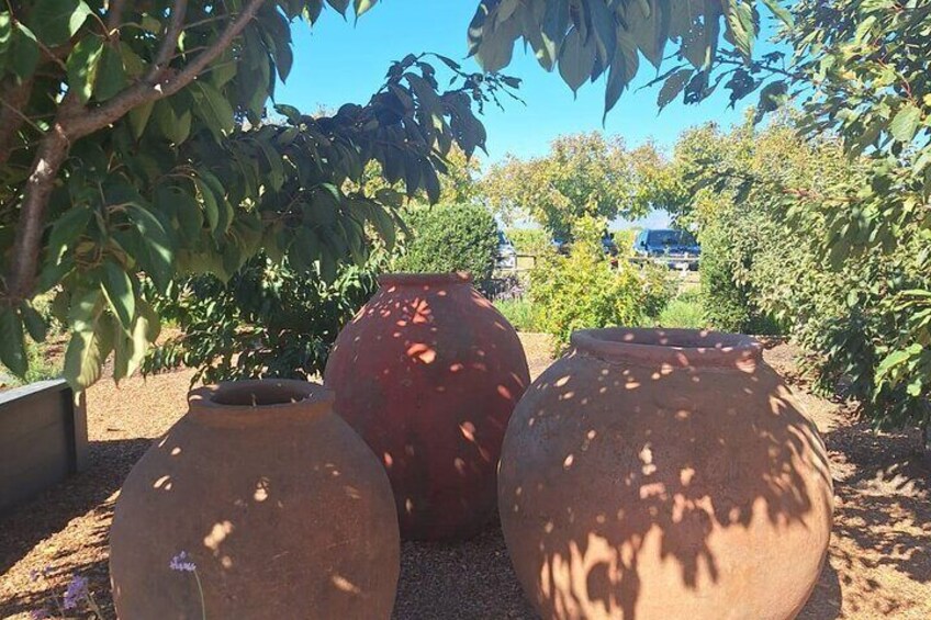 Wine tours, Wine tasting, Wine lovers in Casablanca town