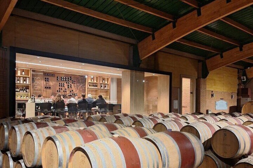 Wine tours, Wine tasting, Wine lovers in Casablanca town
