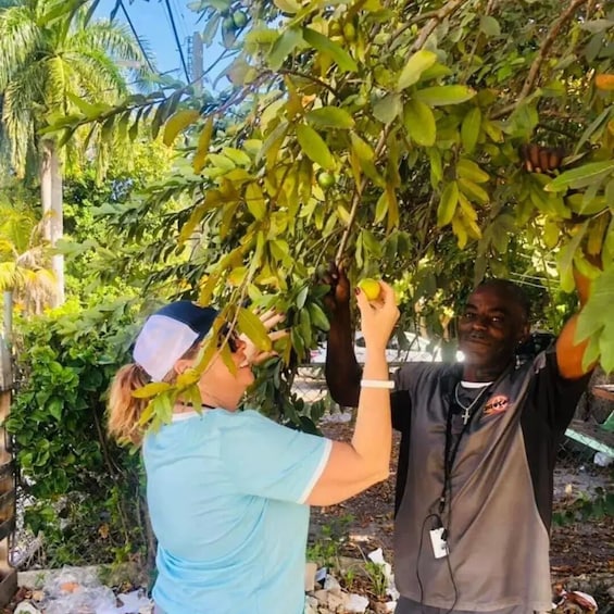 Guided ATV Tour of Nassau with beach stop