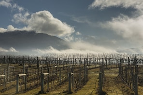 Exclusive Central Otago Wine Tour from Queenstown