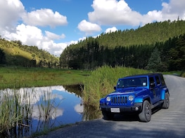 Half Day 'Shore Escape' - Bay of Islands Private Jeep Tour