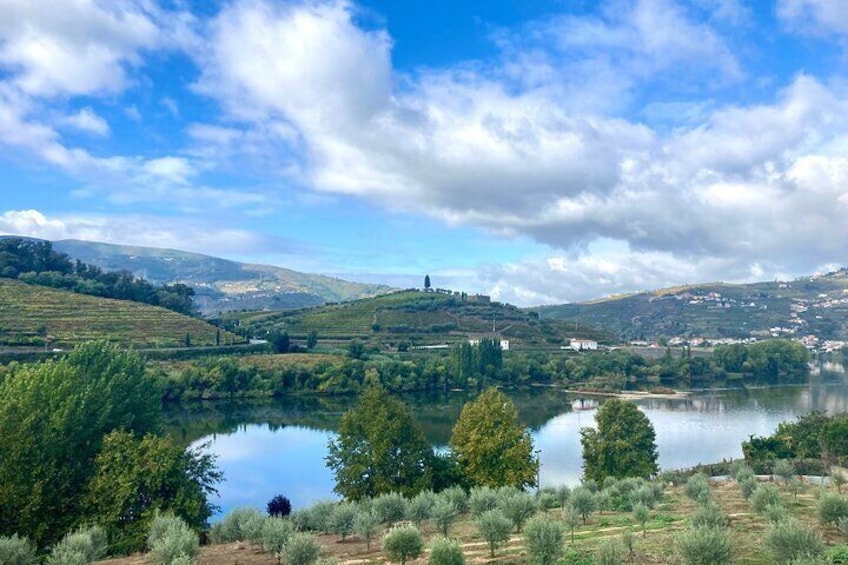 Private Douro Valley all inclusive: Tastings, Lunch & Boat