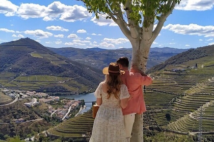 Private Douro Valley all inclusive: Tastings, Lunch & Boat