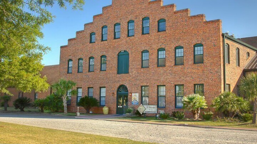 Avery Island Experience- Tabasco & Jungle Gardens Self-guided tour