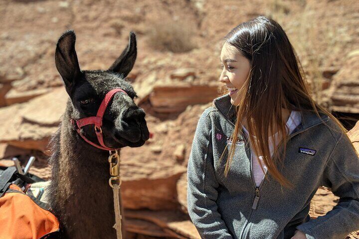 Full-Day Private Guided Llama Hikes