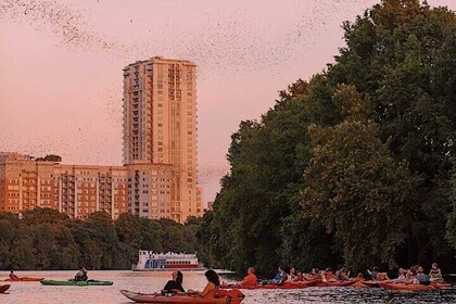 Guided Sunset Kayak Tour in Austin, Texas