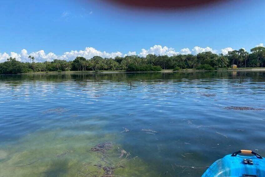 Kayak Adventure at Shell Key Preserve in Tierra Verde